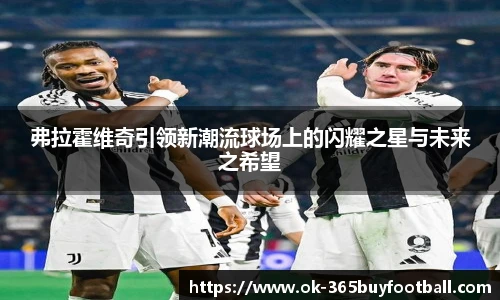 弗拉霍维奇引领新潮流球场上的闪耀之星与未来之希望
